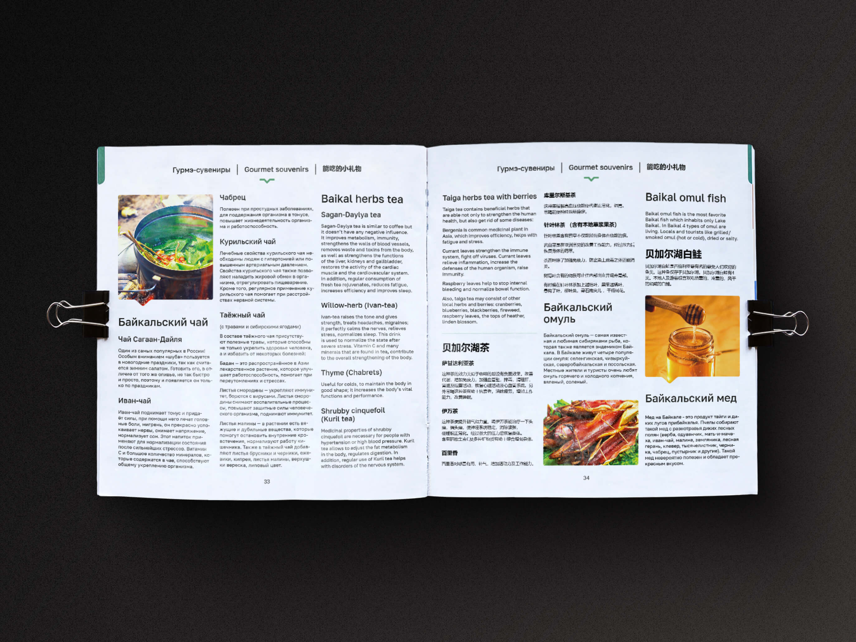 Гастрогид — разворот 2